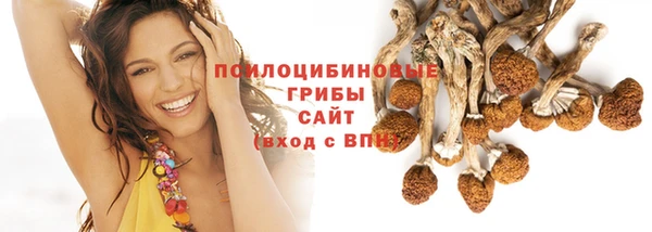 дурь Зеленокумск